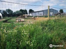 Kimba Elefánt Park-哲里区