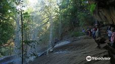 Mitchell River National Park-库努纳拉