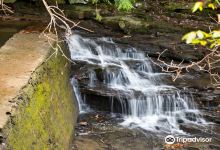 Pisgah Gorge Falls景点图片