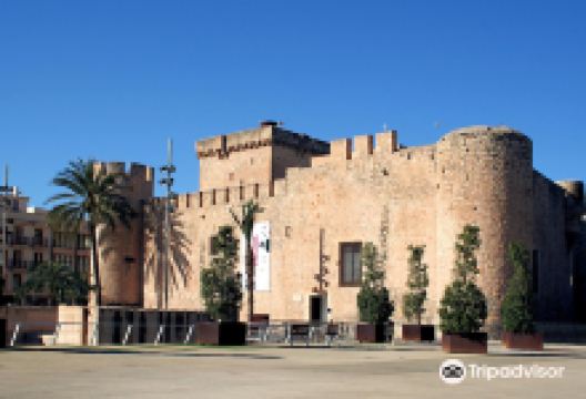 Museo Arqueologico e historico de Elche (MAHE)景点图片