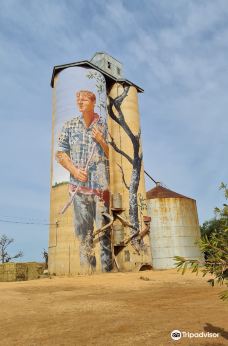 Patchewollock Silos Art-帕奇沃洛克