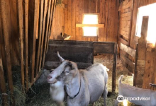 The Great Canadian Soap Co.购物图片