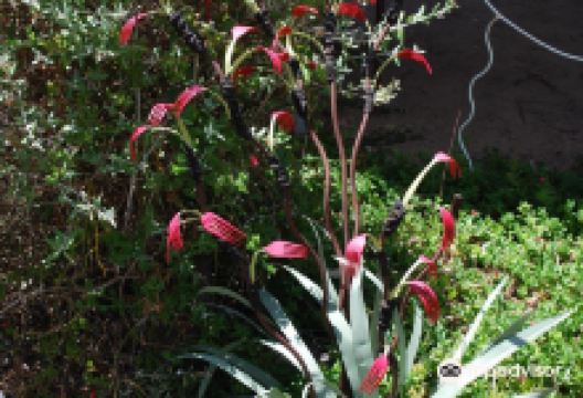 Woop Woop景点图片