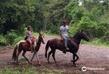 Black Stallion Eco Park & Estates景点图片