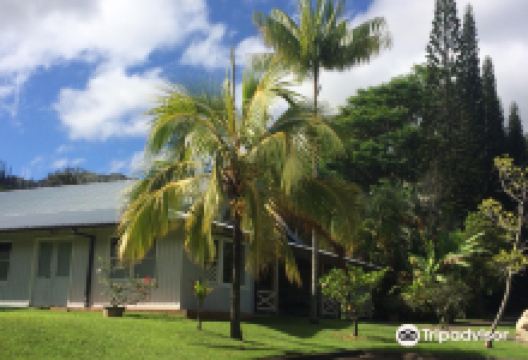 阿啰哈教堂景点图片