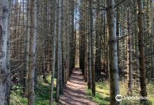 Lille Norge景点图片