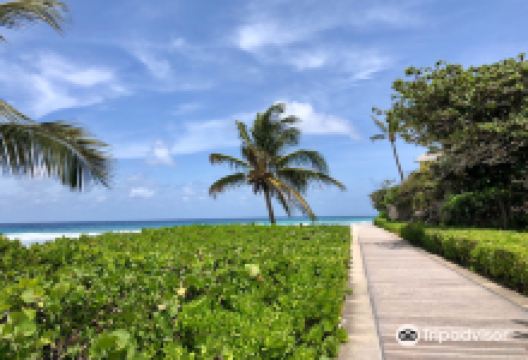 South Coast Boardwalk景点图片