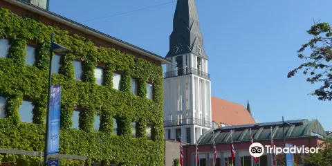 莫爾德主教座堂