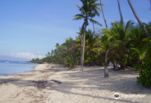 Tubod Marine Sanctuary景点图片