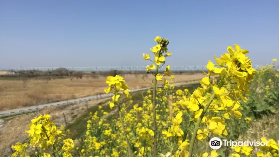 利根川