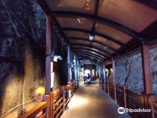 江之岛岩屋-藤泽市