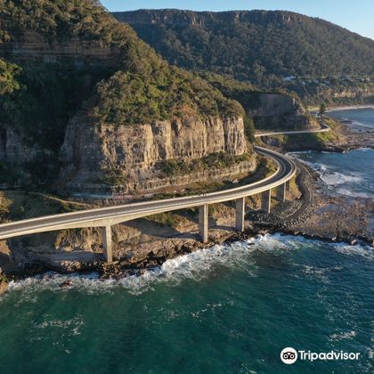 澳大利亚卧龙岗海崖大桥+杰维斯湾+凯阿马喷水孔一日游