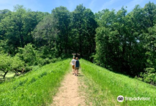 Fontenelle Forest Nature Center景点图片