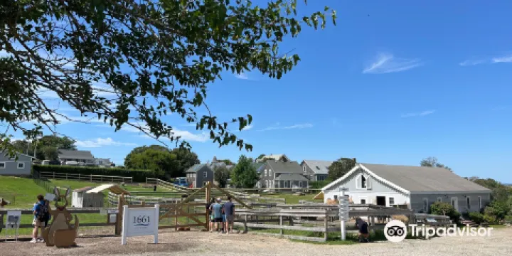 1661 Farm and Gardens