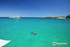 神圣之地 - 卡波探险-拉巴斯