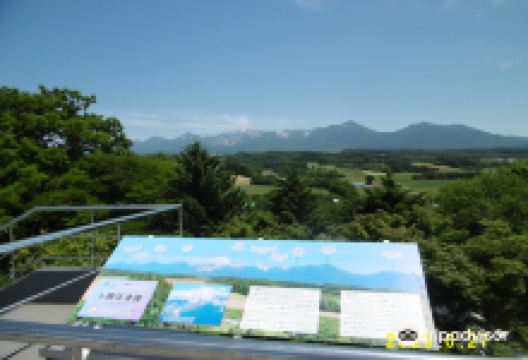 Hinode Lavender Garden景点图片