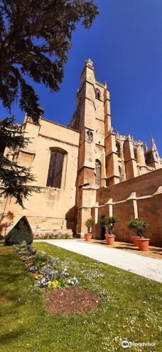 Narbonne Cathedral-纳巴达