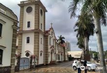 Igreja S?o Francisco景点图片