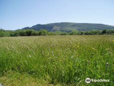 Close Sartfield Nature Reserve-马恩岛