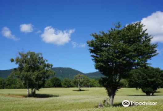 Takatsue Sobabatake景点图片