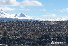Isla de Los Pajaros景点图片
