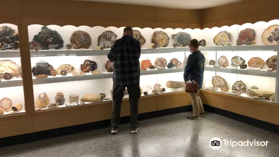 賴斯巖石和礦物西北博物館