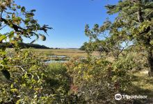 Wellfleet Bay Wildlife Sanctuary景点图片