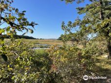 Wellfleet Bay Wildlife Sanctuary-韦尔弗利特