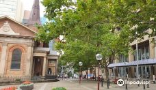 圣雅各教堂-悉尼