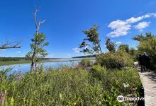 Saugerties Lighthouse景点图片