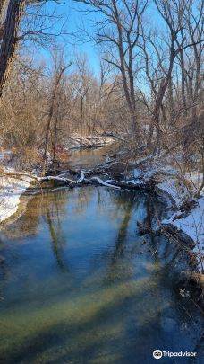 Toogood Pond Park-万锦