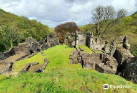 Okehampton Castle景点图片