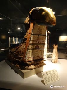 木乃伊博物馆-卢克索