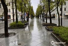 自由大道景点图片