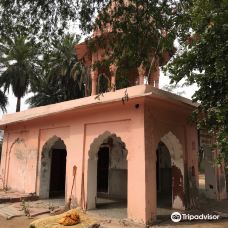 Keoladeo Shiva temple-珀勒德布尔