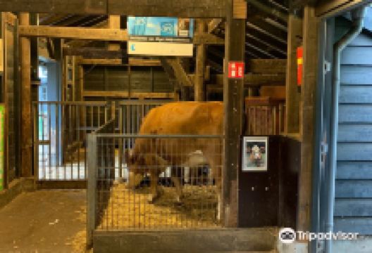 Kinderboerderij Hagerhof景点图片