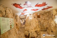 Jama - Grotta Baredine-Gedici