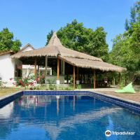 莫约岛图片