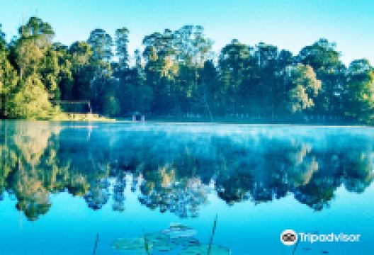 Kodaikanal Lake景点图片