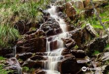 Kings Waterfall景点图片