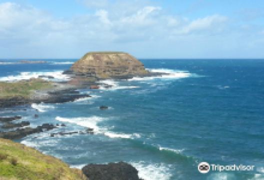 菲利普岛自然公园景点图片