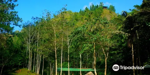 Mapawa Nature Park