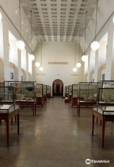 Rockefeller Archeological Museum-耶路撒冷