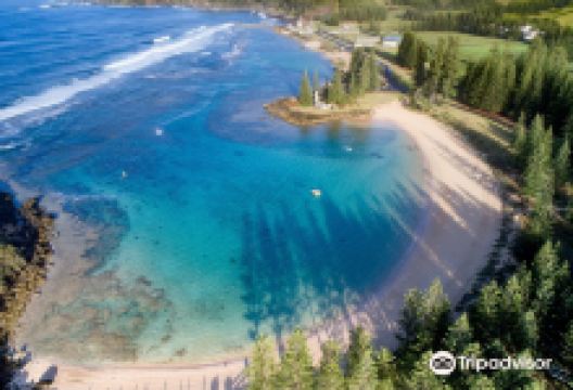 Emily Bay景点图片