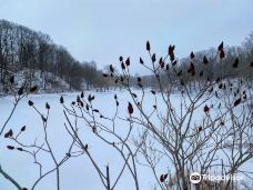 Akron Falls Park-阿克伦