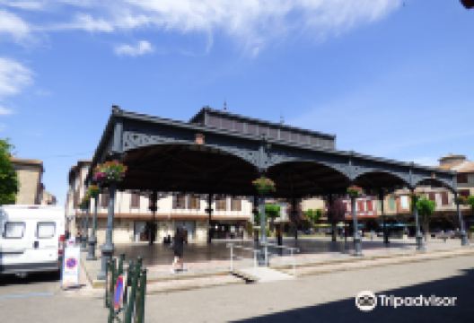 Bastide de Mirepoix景点图片