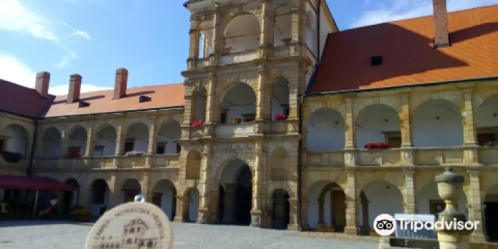 Zamek Moravska Trebova