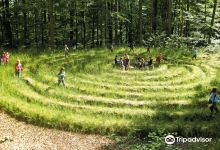 Walderlebnis- und Waldsportpfad Rollberg景点图片