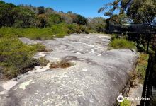 Dharawal Aboriginal Engravings Site景点图片