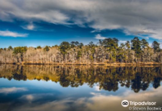 Lake Lowndes State Park景点图片